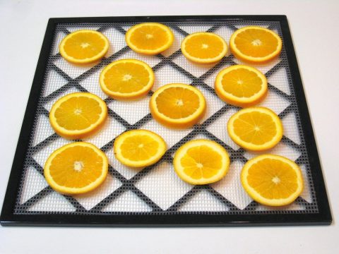 Dehydrated Orange Slices