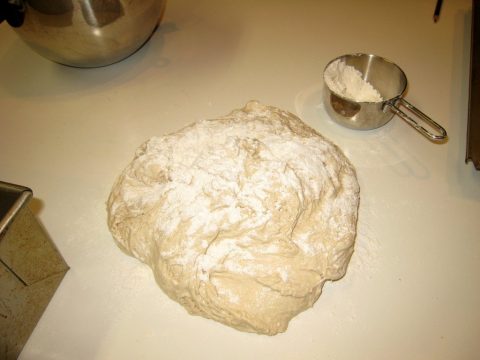 Homemade sandwich bread dough ball