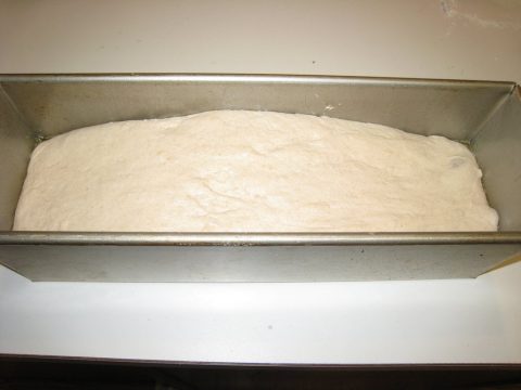 Homemade sandwich bread rising in pan