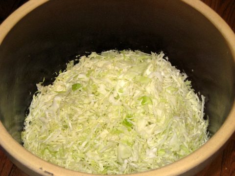 Sauerkraut in Crock