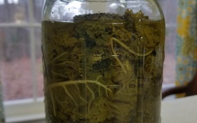 Canning Kale