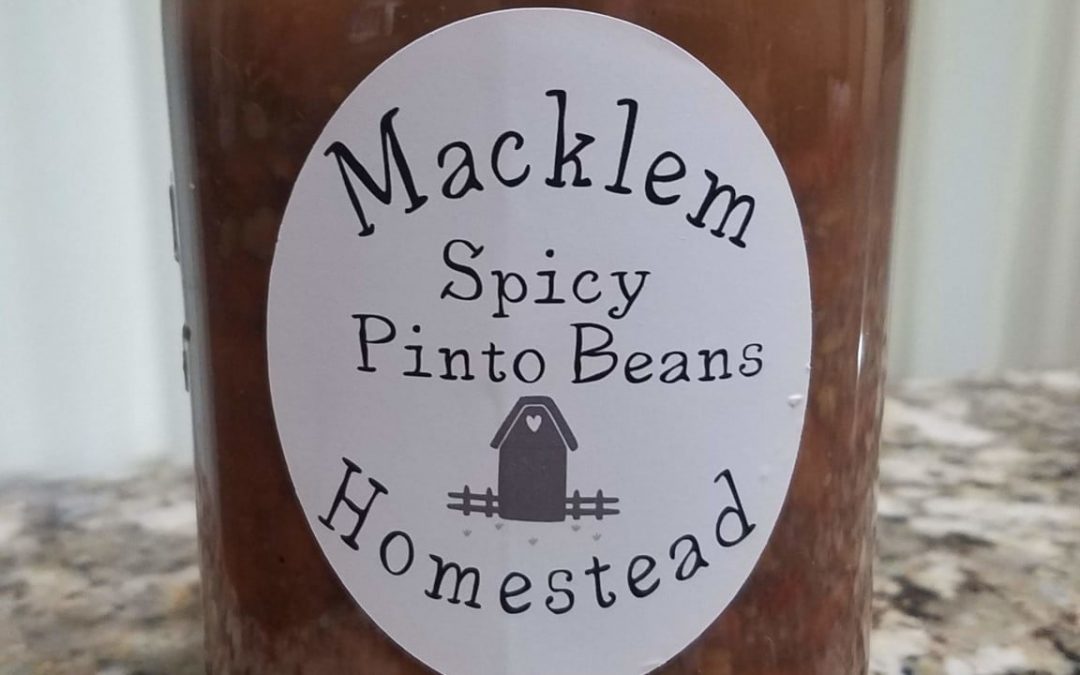 Canned Spicy Southwestern Pinto Beans
