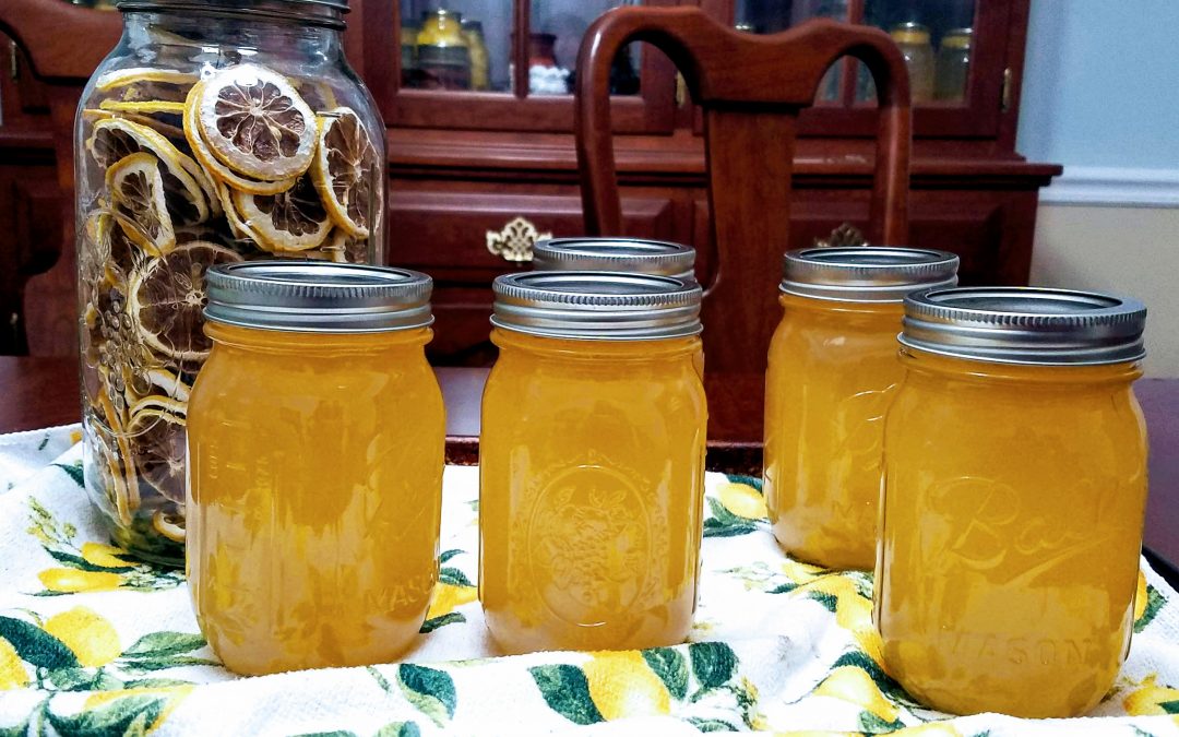 Canning Lemonade Concentrate