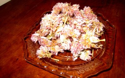 Tarragon Chive Flower Chicken