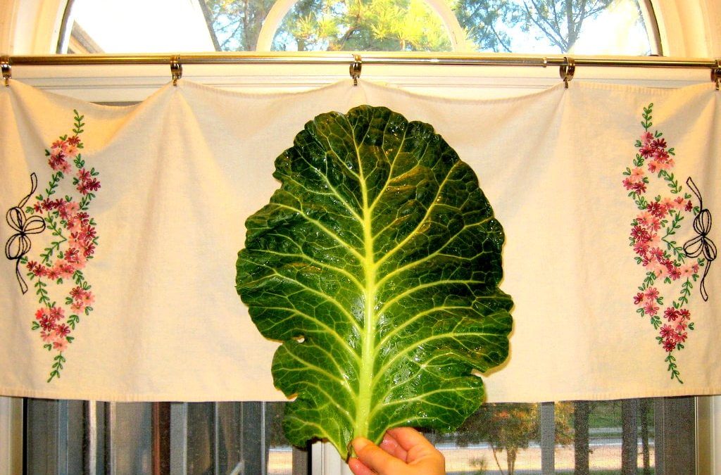 Collard Green Pesto
