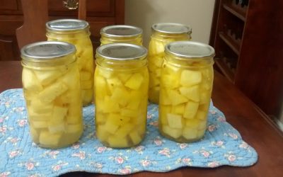 Canning Pineapple Chunks