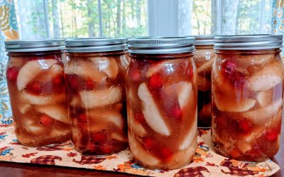 Canning Apple Cranberry Pie Filling