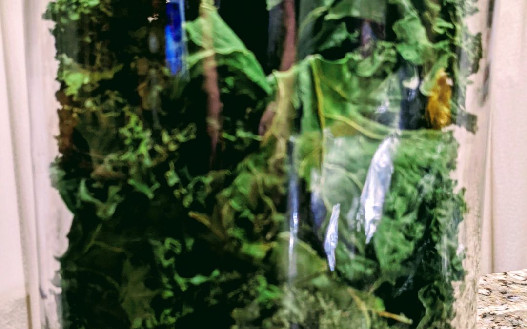 Dehydrating Kale