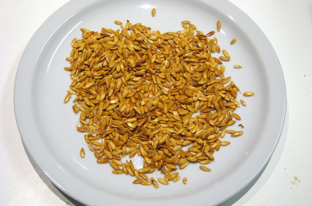 Roasted Melon Seeds