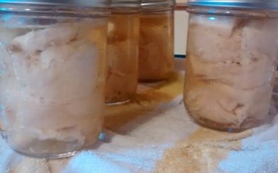 Canning Chicken