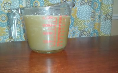 Slow Cooked Stock in 30 Minutes