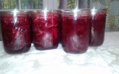 Canning Cranberry Sauce – Make Ahead Holidays