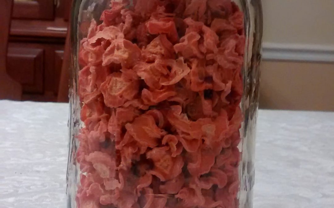 Dehydrating Carrots