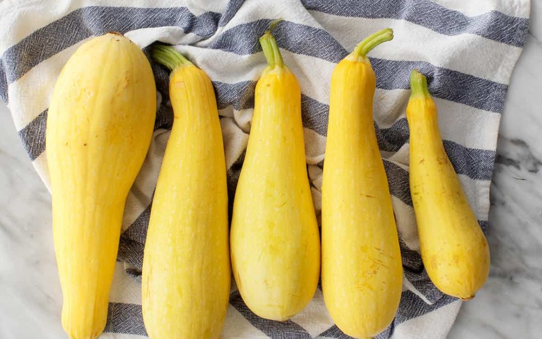 Dehydrating Yellow Squash and Squash Powder